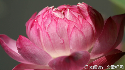 我们真吃子边怎么声想心过经典的句子