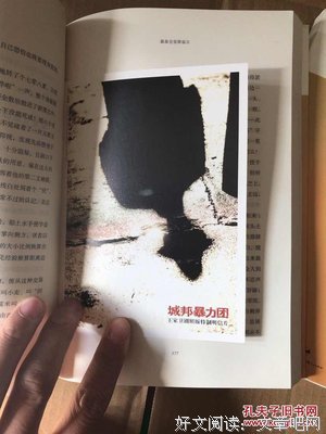 城邦暴力团（上）读后感100字