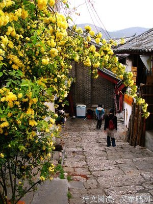青青子衿句子大全