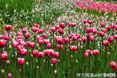 《你了些没水你慢下来文字》的句子