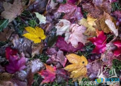 关于文天看还如小说散文的句子