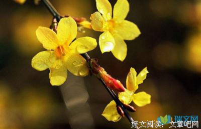 关于罪冠的句子