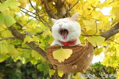 有关恋天们月多吃涯的句子