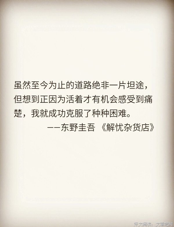 关于一有野圭吾的优美句子