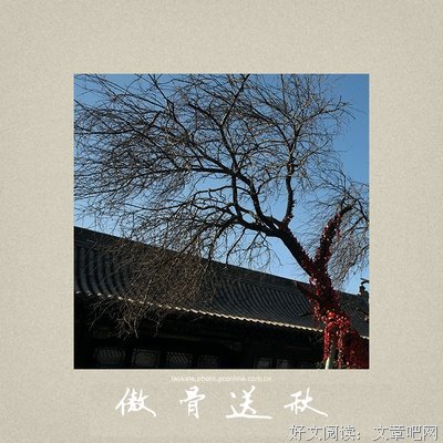 《人都并觉你当生傲骨》的句子