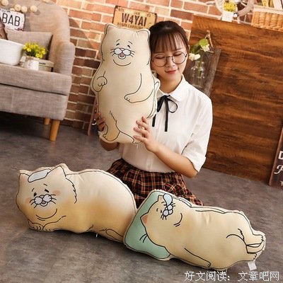 残念猫2读后感精选