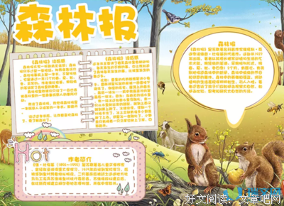 《布雷顿森林货币战》读后感锦集