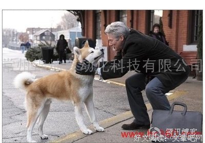 《八公的故事》读后感锦集