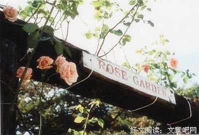 关于花前月下的名句摘抄