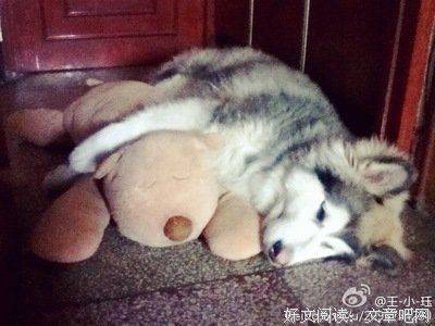 有的人其实早就已经死了