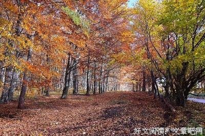 有关自私自利的美文美句摘抄