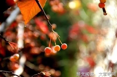 关于从天而降的唯美语录