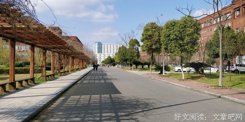 无所适从的名言_关于无所适从的名言