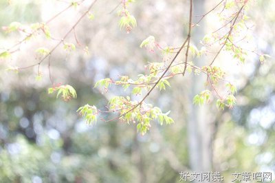最经典的《事天多处于零态》经典语句