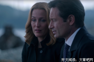 《X档案 第十一季》好看吗？经典影评锦集