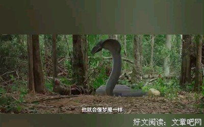 《深海X异种》好看吗？经典观后感锦集