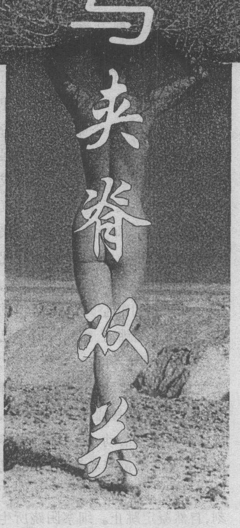 生命的感悟的句子