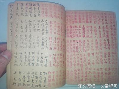《我的抗战》读后感100字
