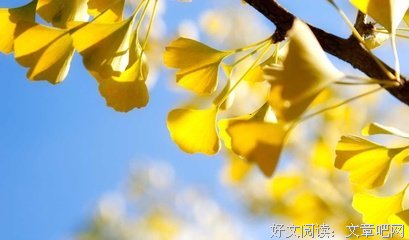 绞尽脑汁的名人名言