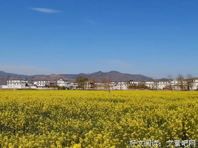 无边无际的语句摘抄_关于无边无际的语句