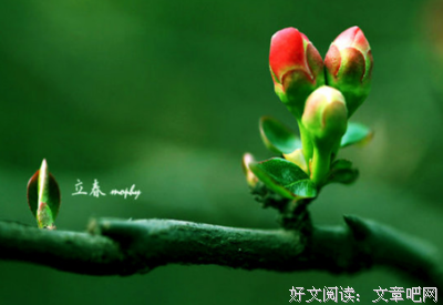 关于事业有成的语句