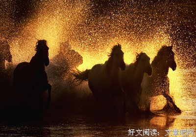 有关金戈铁马的美句摘抄