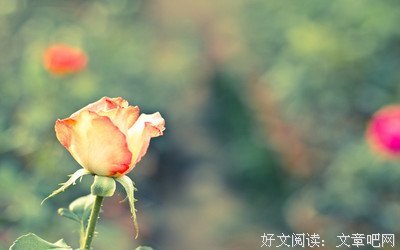 描写漠不关心的语句摘抄
