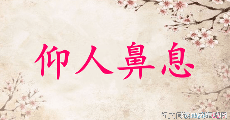 拾人牙慧句子大全