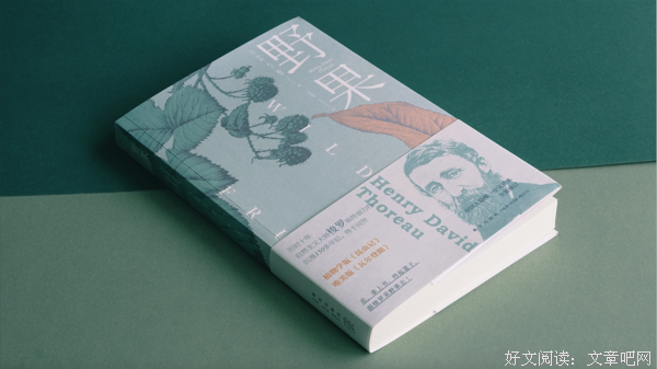 《乘风破浪姐姐》：昔日的性感女神，为梦想回归深山，如今复活归