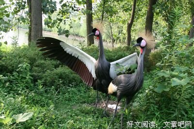 恋爱中遇到这样的男生，就算了吧。