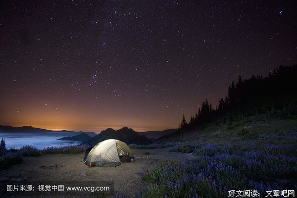 独处的将他忆经典名句