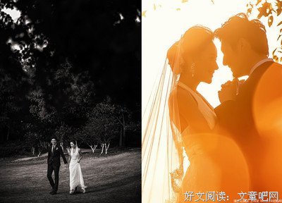 梦下自时便花落知多少经典的句子