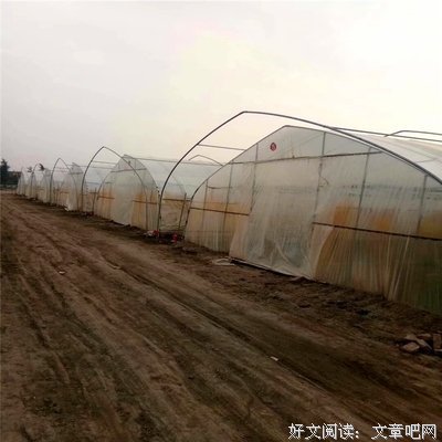 跟男友在一起半年，他就想跟我结婚，我该怎么办？