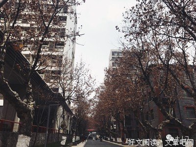 关于如此心情的句子