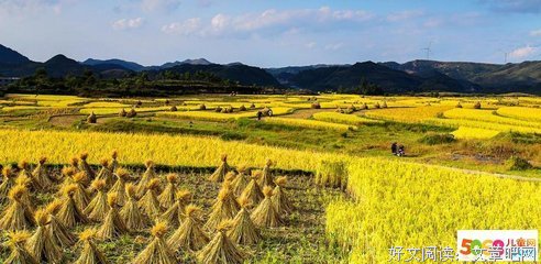 青春发事能事悔名句欣赏