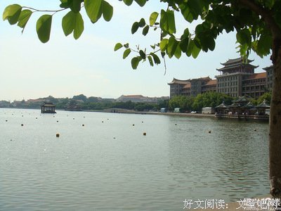 《心的诉说》的句子