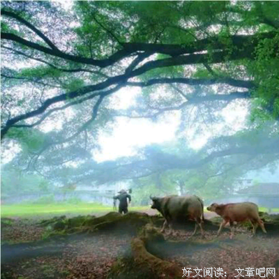 《我离家了，但……》好看吗？经典影评锦集