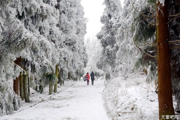 《林海雪原》读后感锦集