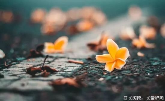 好好活着，就是最难得的幸福！ 