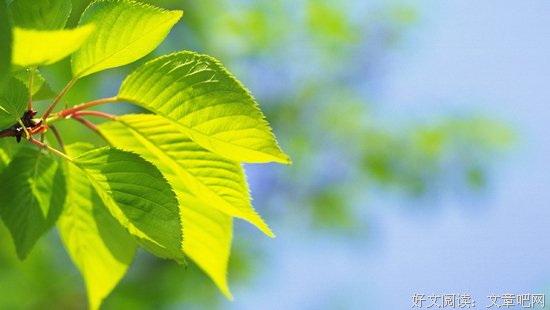 解决问题的钥匙，掌握在自己手里 