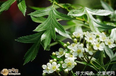 而不讲拜拜