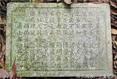 关于如梦初醒的格言