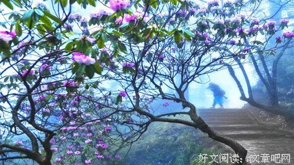 韶华初至，巧笑嫣然优美的句子