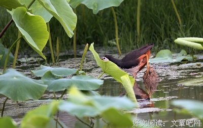 历经艰难苦恶，便会迎来更好的成长