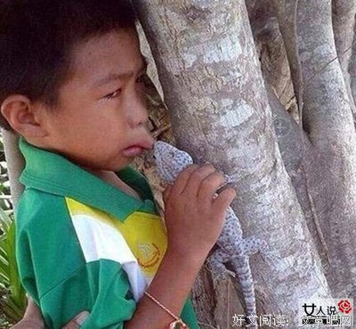 男生初吻体验报告。