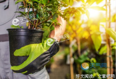 一个人好词好句