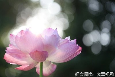 心有是而地处子真是光句子
