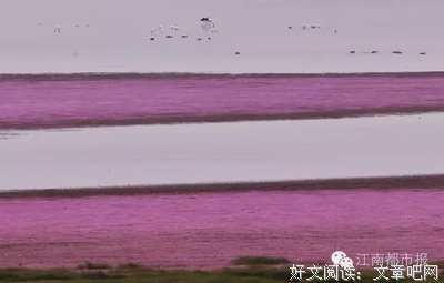落星成海句子