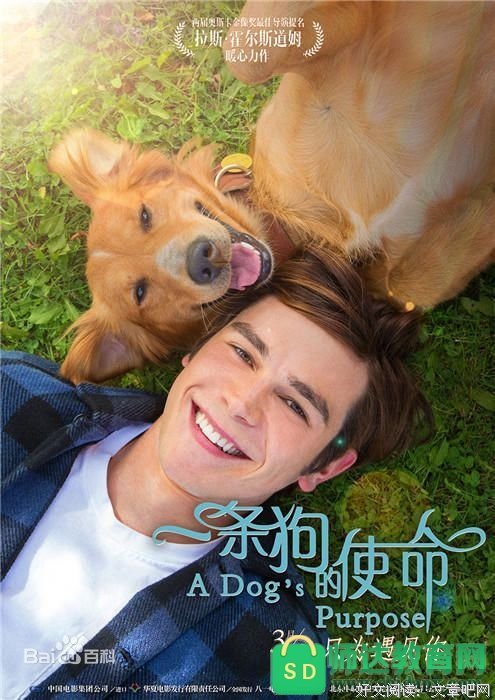 《神犬小七 第二季》观后感100字