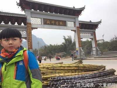 《一粒种子的旅行》读后感锦集